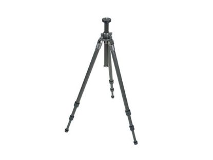 Image de GT1530