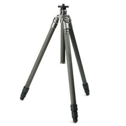Bild von GT2530