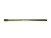 Bild von D1551.28